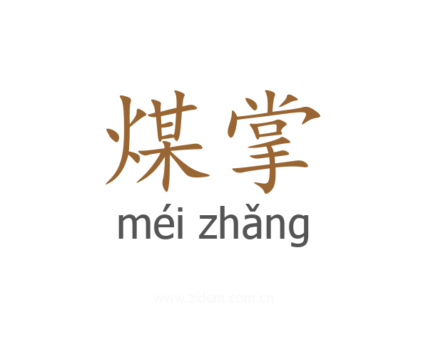 煤掌