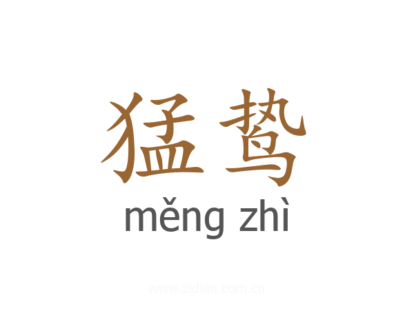猛鸷