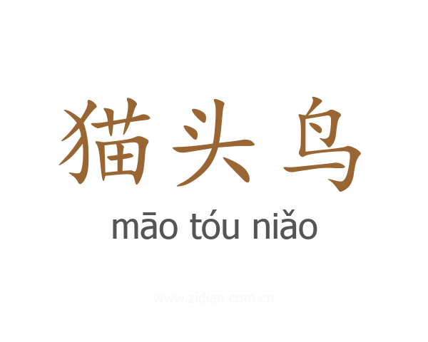 猫头鸟