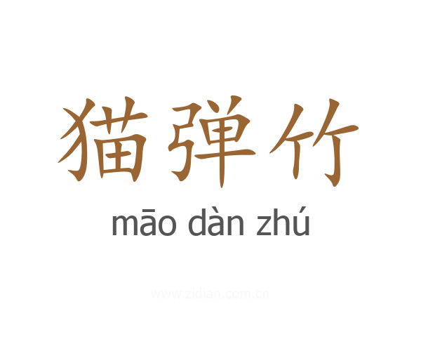 猫弹竹