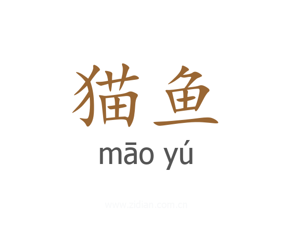 猫鱼