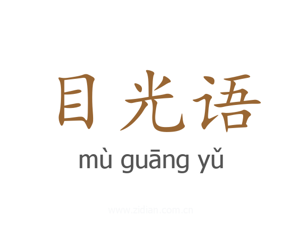 目光语