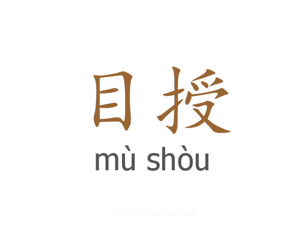 目授
