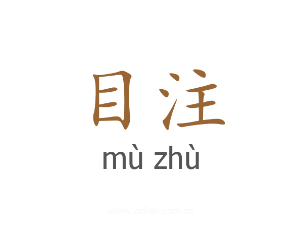 目注