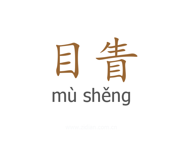 目眚