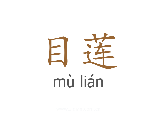 目莲