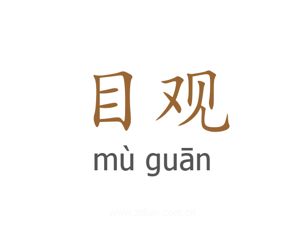 目观