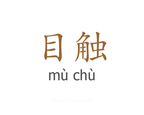 目触