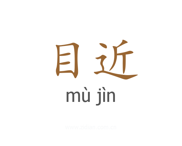 目近