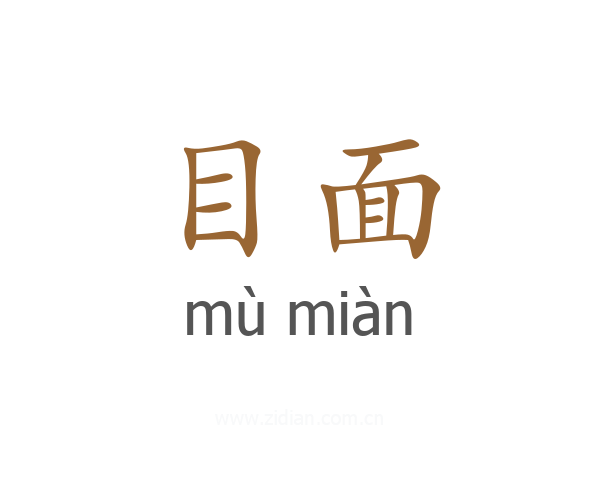 目面