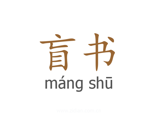 盲书
