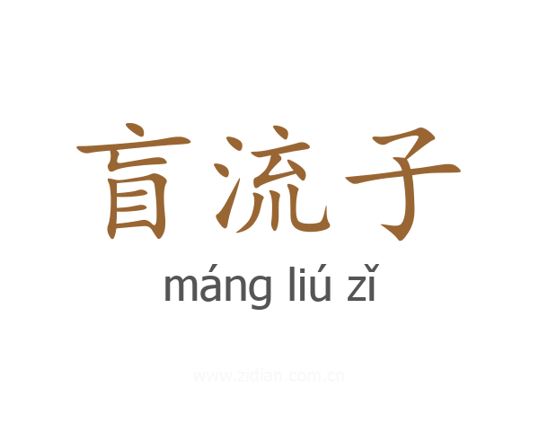 盲流子