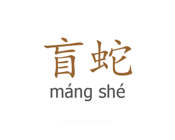 盲蛇