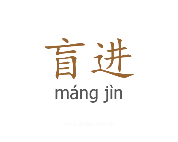 盲进