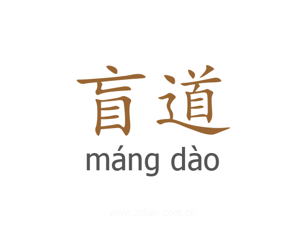 盲道