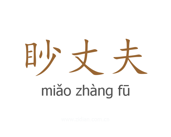 眇丈夫
