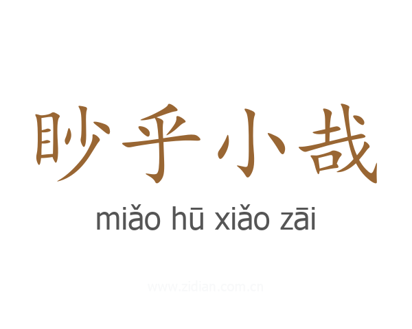 眇乎小哉