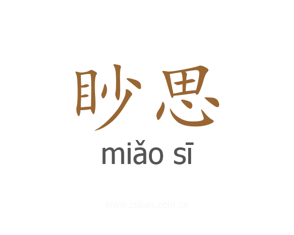 眇思