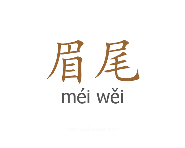 眉尾