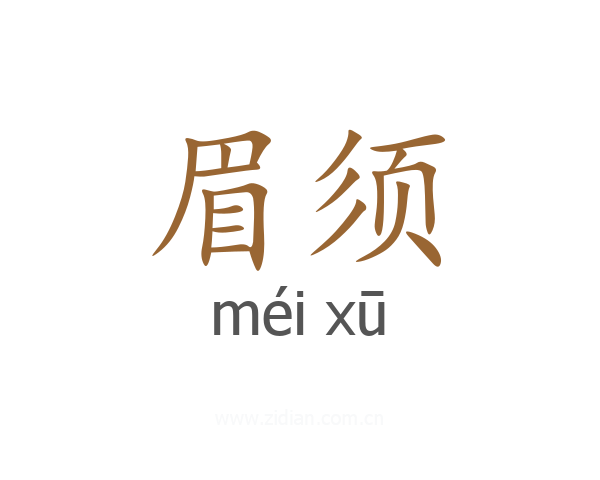 眉须