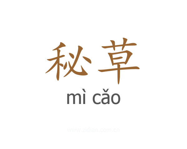 秘草