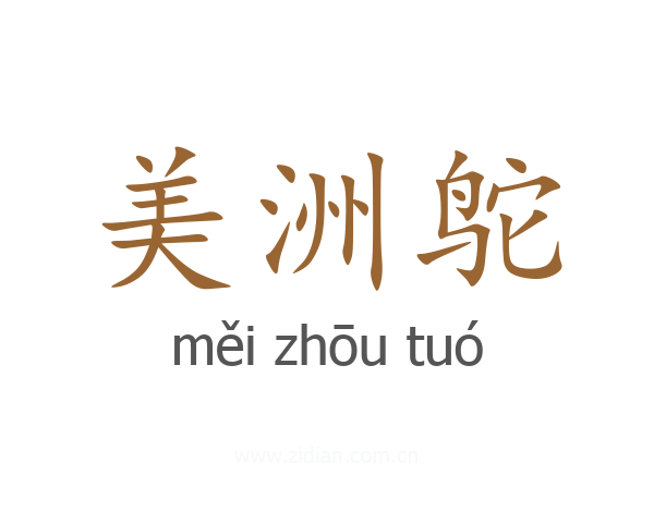 美洲鸵
