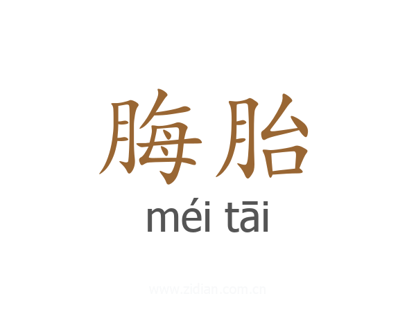 脢胎