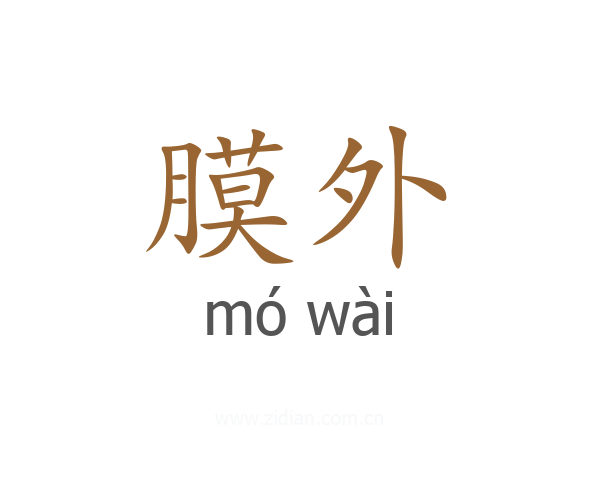 膜外