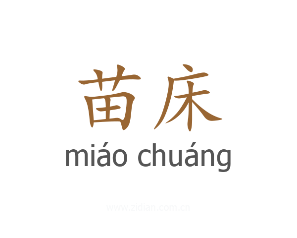 苗床