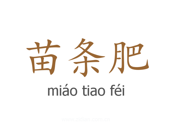 苗条肥