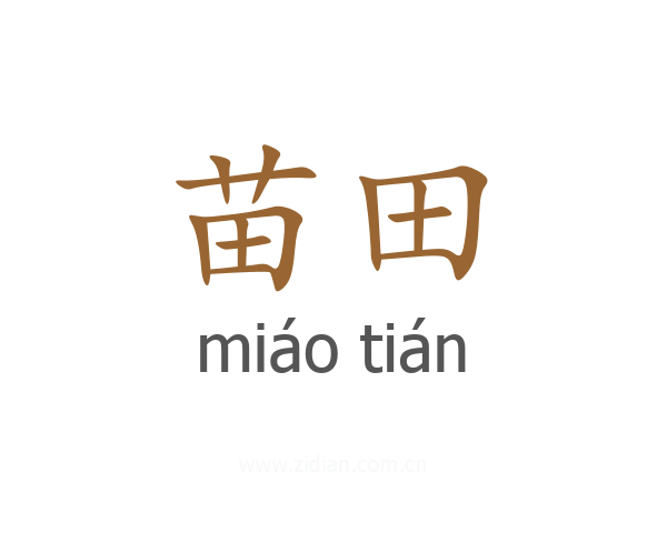 苗田