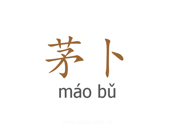 茅卜