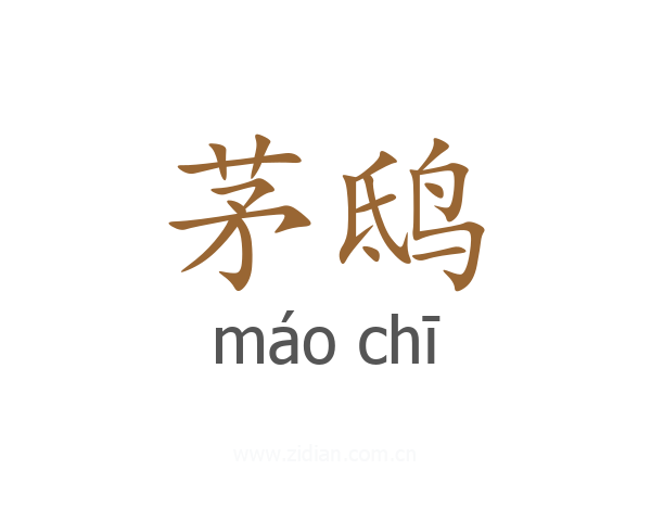 茅鸱