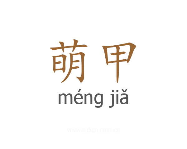 萌甲