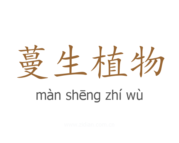 蔓生植物