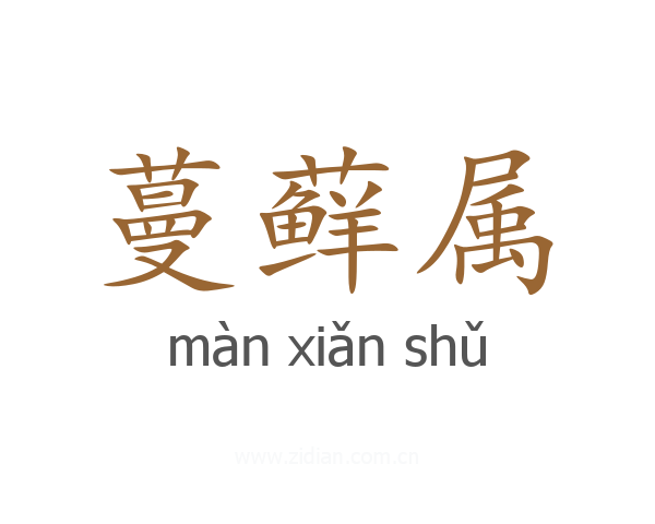 蔓藓属