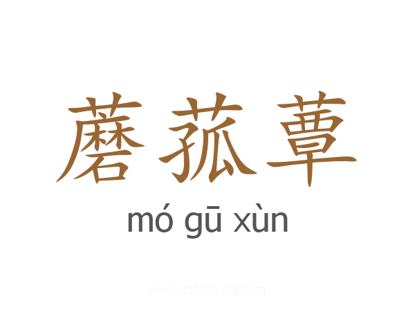 蘑菰蕈