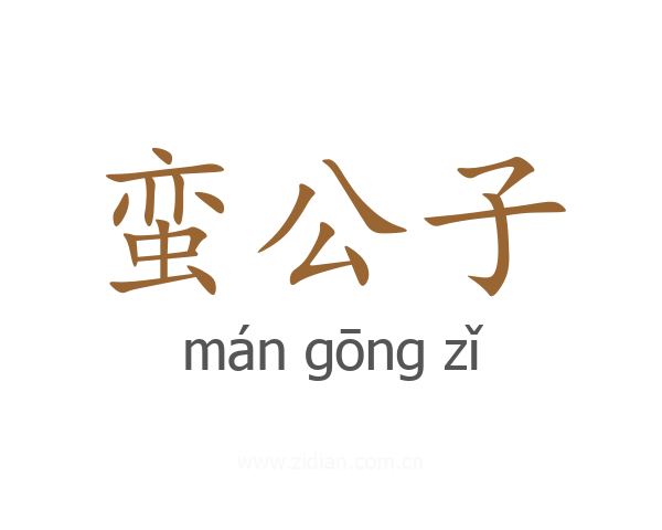 蛮公子