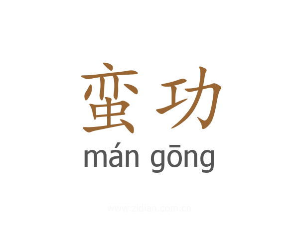蛮功