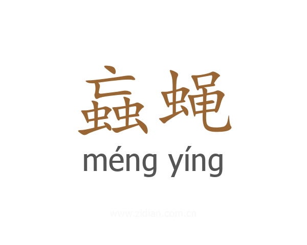 蝱蝇