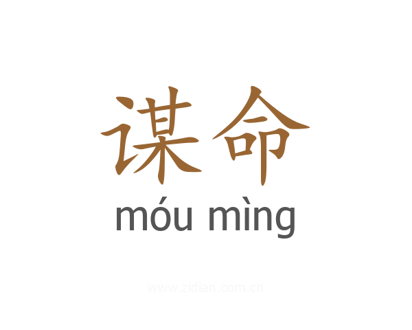 谋命
