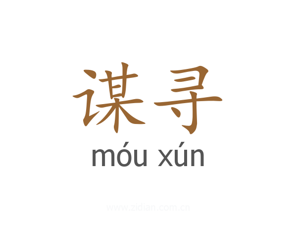 谋寻