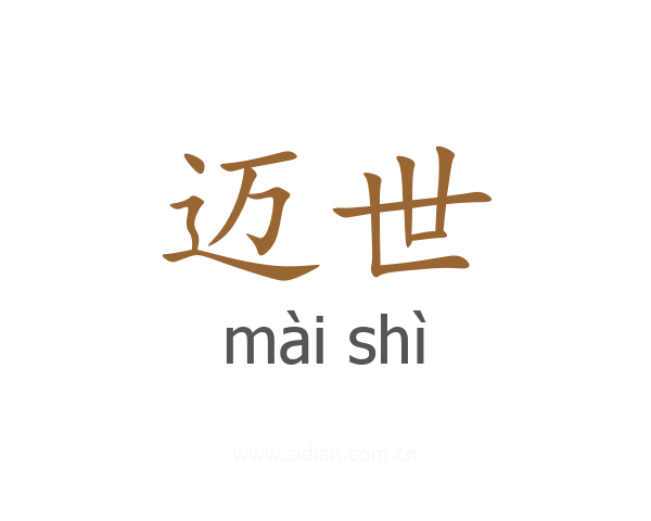 迈世