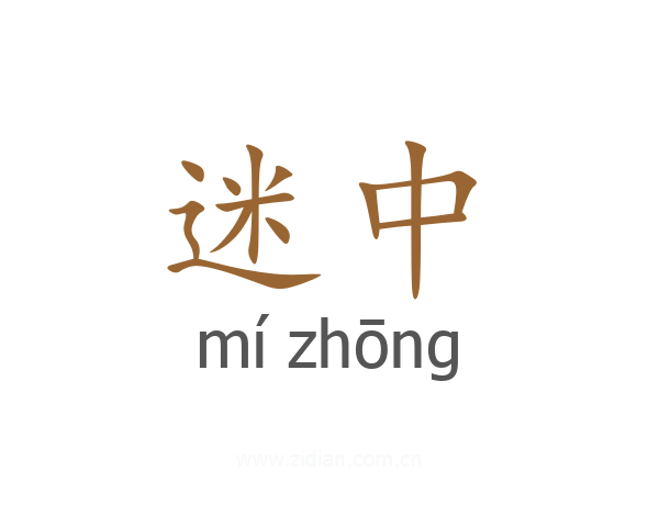 迷中