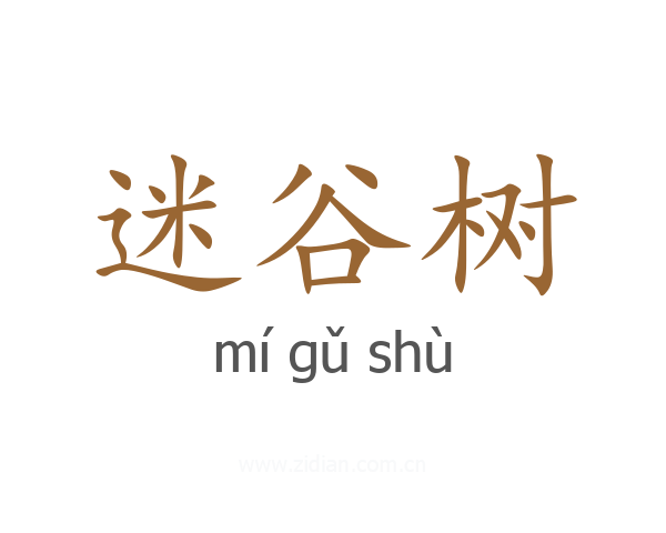 迷谷树