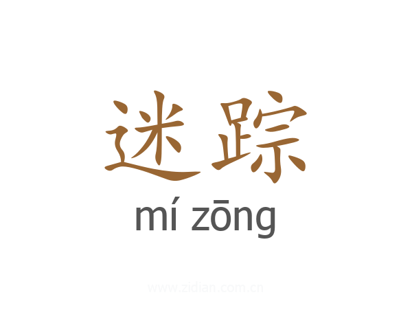 迷踪