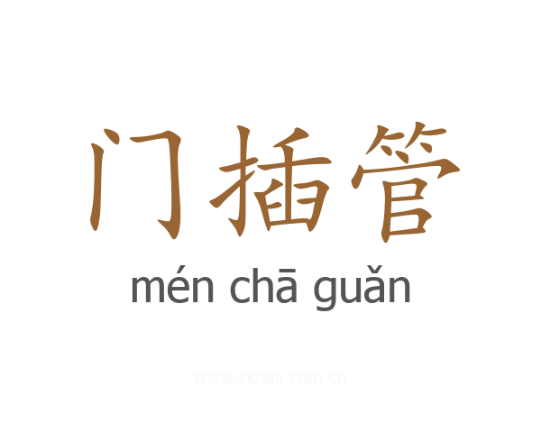 门插管