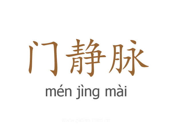 门静脉