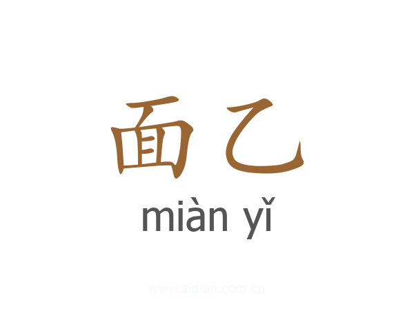 面乙