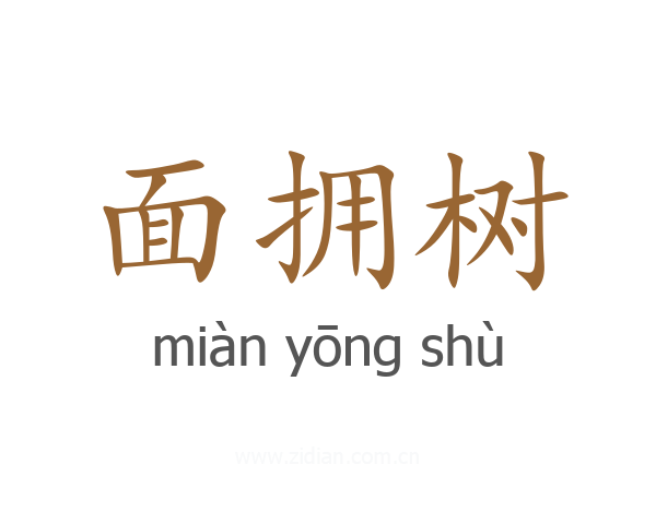 面拥树